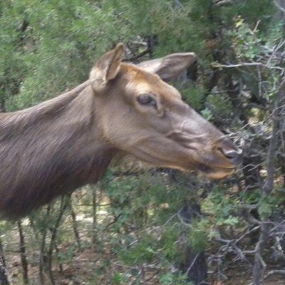 Profile Picture of Hugo Clair (@hugo_clair) on Twitter