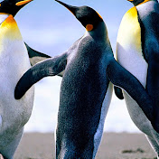 Profile Picture of Sidney Bray (@sidney2423) on Youtube