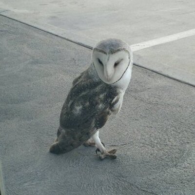 Profile Picture of Scott Broughton (@scott_broughton) on Twitter