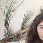 Profile Picture of Maureen Feeney (@my_plasticfree_life) on Instagram