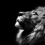 Profile Picture of Roberto Mazzucato (@roberto.mazzucato.90) on Instagram