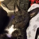 Jasper Thomas - Instagram Profile Picture of Jasper Thomas (@jasper.the.tripod) on Instagram