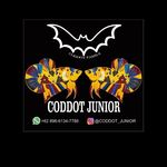 Profile Picture of coddot (@coddot_junior) on Instagram