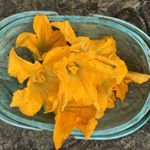 Profile Picture of Ann Booth-Clibborn (@abcfoodtour) on Instagram
