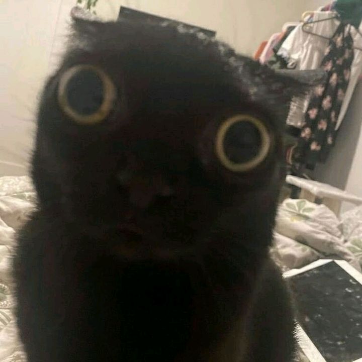 Profile Picture of Daniel Orlov (@hrmystik) on Tiktok