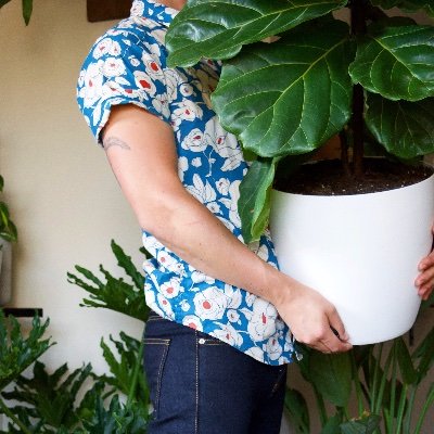 Profile Picture of Brad Of The Plants (@plantdadbrad) on Twitter