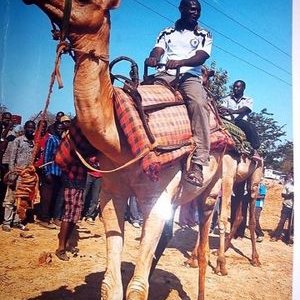 Profile Picture of Mihambo Kamuga (@KamugaMihambo) on Twitter