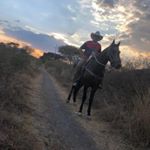 Profile Picture of Erik Salazar (@eriksalazar60) on Instagram