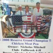 Profile Picture of Wanda Mitchell (@dollymitchell) on Pinterest