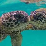 Trump Mfg Hefner - Facebook Profile Picture of Trump Mfg Hefner (@TMoNeY1988) on Facebook