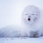 Profile Picture of kate karel (@milaniokarel) on Instagram