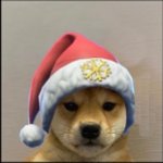 Profile Picture of Kent Vuong (@kenttheb3st) on Instagram