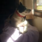 Profile Picture of Claudia Capps (@claudia.capps.62) on Facebook