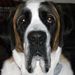 Profile Picture of Paula Mainhart (@paulamainhart) on Pinterest