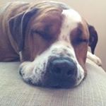 Profile Picture of Gilbert Kwan (@kwan.gilbert) on Instagram