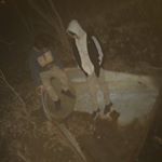 Profile Picture of Leo Reynolds🦁🦁🦁 (@_leo_reynolds_) on Instagram