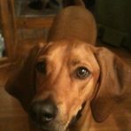 Profile Picture of Bonnie Hinchman (@bhinchman1) on Facebook