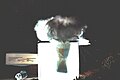 Profile Picture of Dry ice bombon Wikipedia