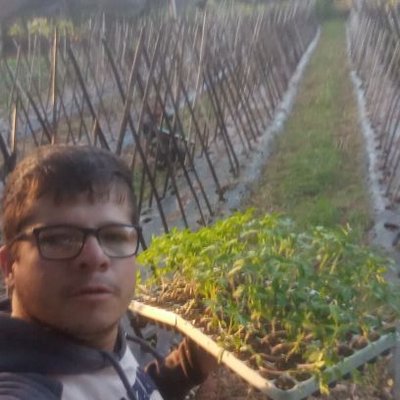 Profile Picture of Benjamin Domingo Morel Gomez Sanchez (@Benjami64348507) on Twitter