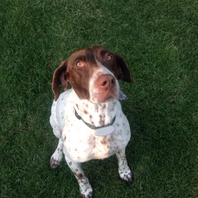 Profile Picture of James Barnas (@barnas_james) on Twitter