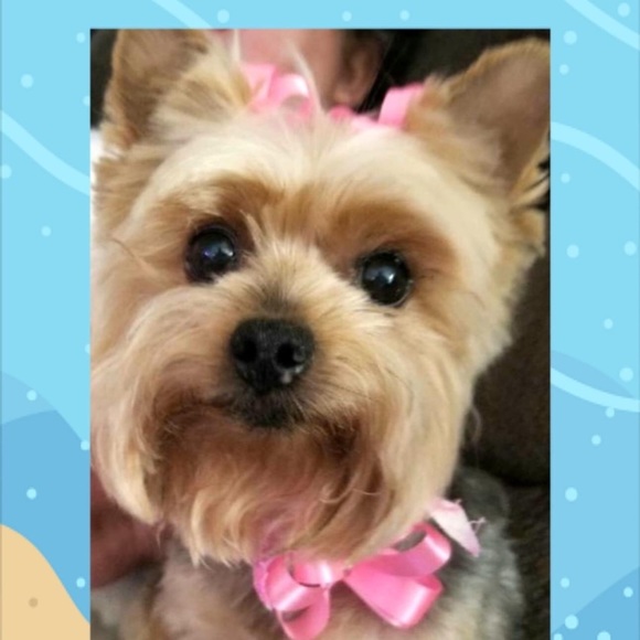 Sara Redkey - Poshmark Profile Picture of Sara Redkey (@sararedkey) on Poshmark