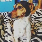 Profile Picture of Sayer lara (@szertified) on Instagram