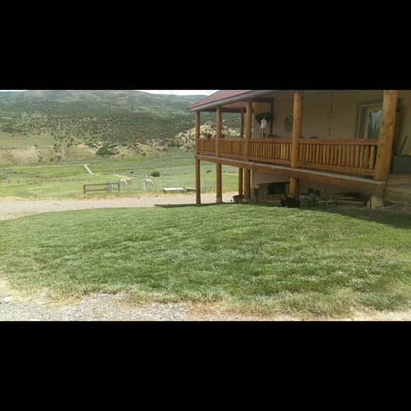 Profile Picture of Cindy Fitzgibbons (@fitzca59) on Poshmark