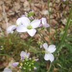 Profile Picture of Jessica Sweeney (@abetterversionofme18) on Instagram