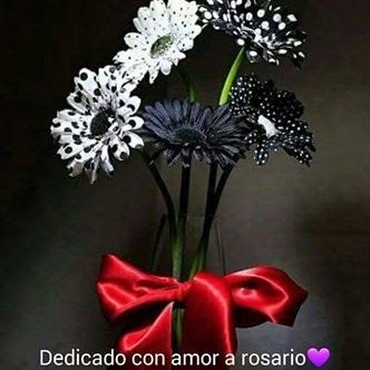 Profile Picture of Rosario Serrano (@Rosario08518727) on Twitter