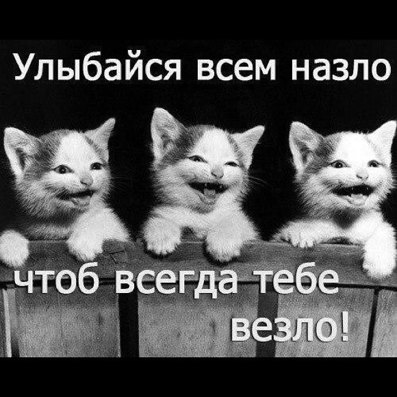 Profile Picture of Elvira Pushkova (@sharpova) on Poshmark