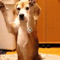 Profile Picture of Aliya Rodemaker (@aliya-rodemaker) on Quora