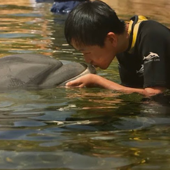 Profile Picture of Edwin Tyc (@etang2680) on Poshmark