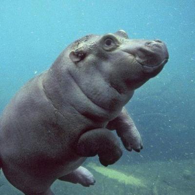 Profile Picture of Wei Ming (@RickStarkMark3) on Twitter