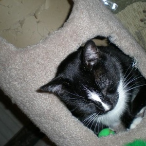 Profile Picture of Mitzi Kay (@195520548) on Myspace