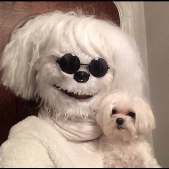 Profile Picture of Zachary Alster (@zlalster) on Poshmark