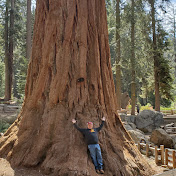 Profile Picture of David Brents (@davidbrents6391) on Youtube