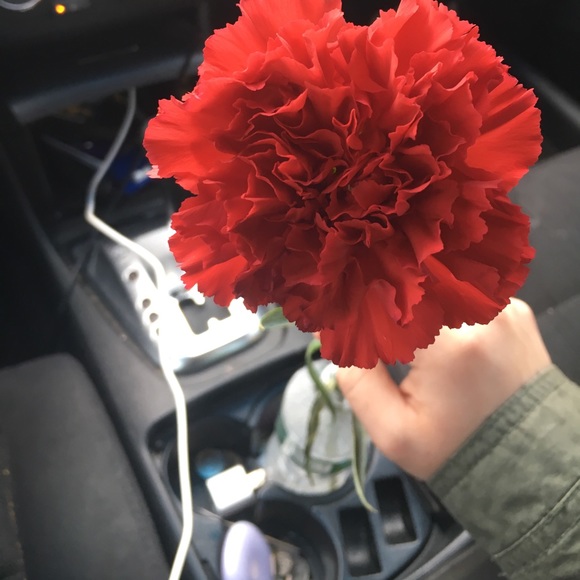 Profile Picture of Alison Belloff (@abellxx) on Poshmark