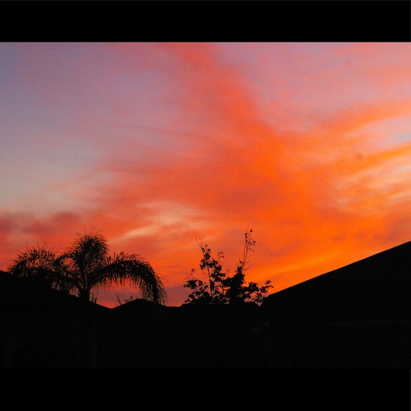 Profile Picture of Ella Moore (@ellammoore) on Poshmark