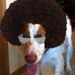 Profile Picture of Brian  Sproule (@brian_sproule) on Instagram