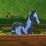 Profile Picture of Kendra Thompson (@shandymichebag) on Instagram