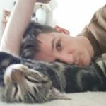Profile Picture of Matthew Deyoung (@donkeydeyoung) on Instagram