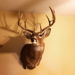 Profile Picture of Randy Dobson (@randobson) on Instagram