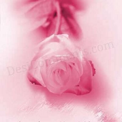 Wetmore Alice - Twitter Profile Picture of Wetmore Alice (@WetmoreAlice) on Twitter