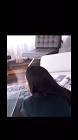 Profile Picture of   loganmerritt43... (@loganmerritt43) on Tiktok