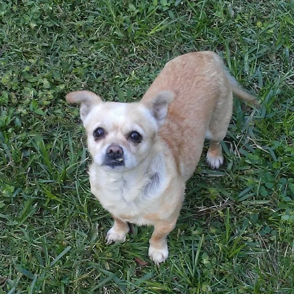 Profile Picture of John Jr. (@timzguy) on Poshmark