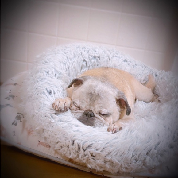 Profile Picture of Jackie Osterberger (@justjackie3) on Poshmark