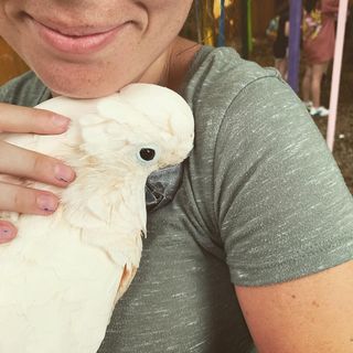 Profile Picture of Hilary Willis (@hilary.willis.92) on Facebook