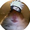 Profile Picture of Ben Mag Stunts (@@ben_scoot266) on Tiktok