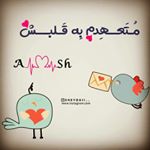 ali💑 shakila - Instagram Profile Picture of ali💑 shakila (@alireza_shakila) on Instagram