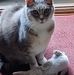 Profile Picture of Marie Seal (Bollatto Abel) (@marie.seal.12576) on Facebook